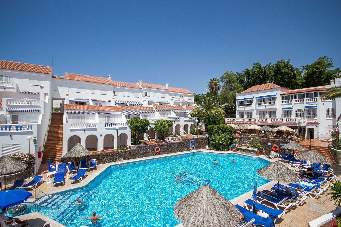 10.02.26 ONA Los Claveles