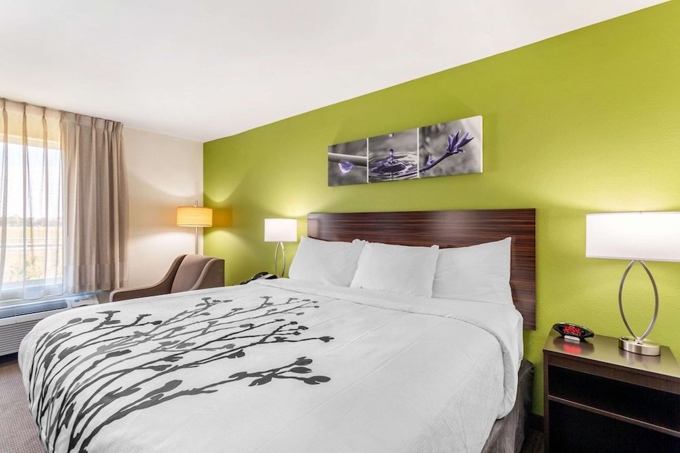expedia-3160923-13