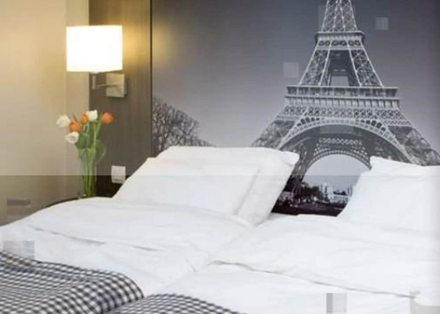 expedia-3156579-5