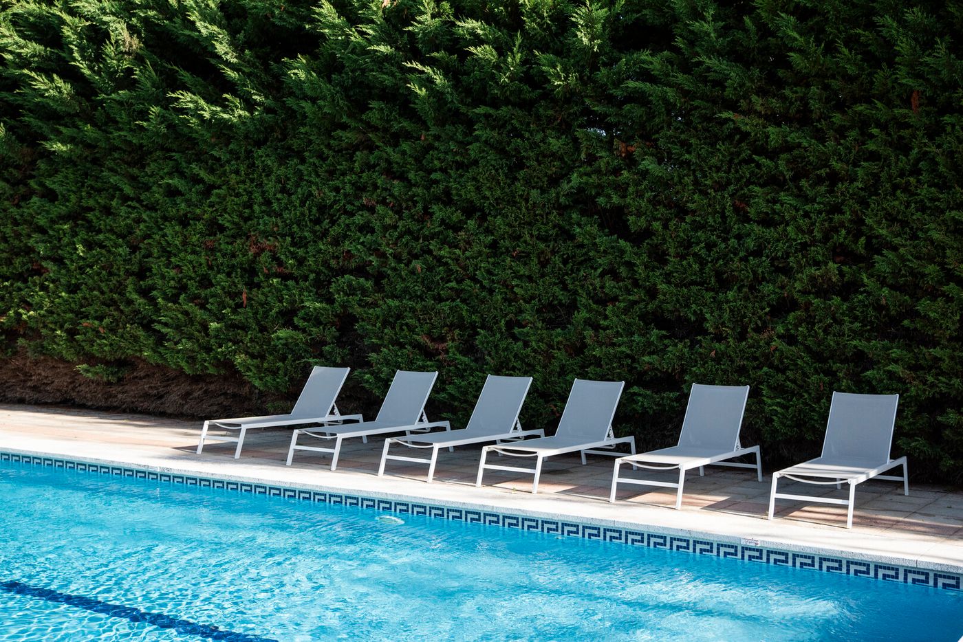 12.02.26 BLUESEA Noja