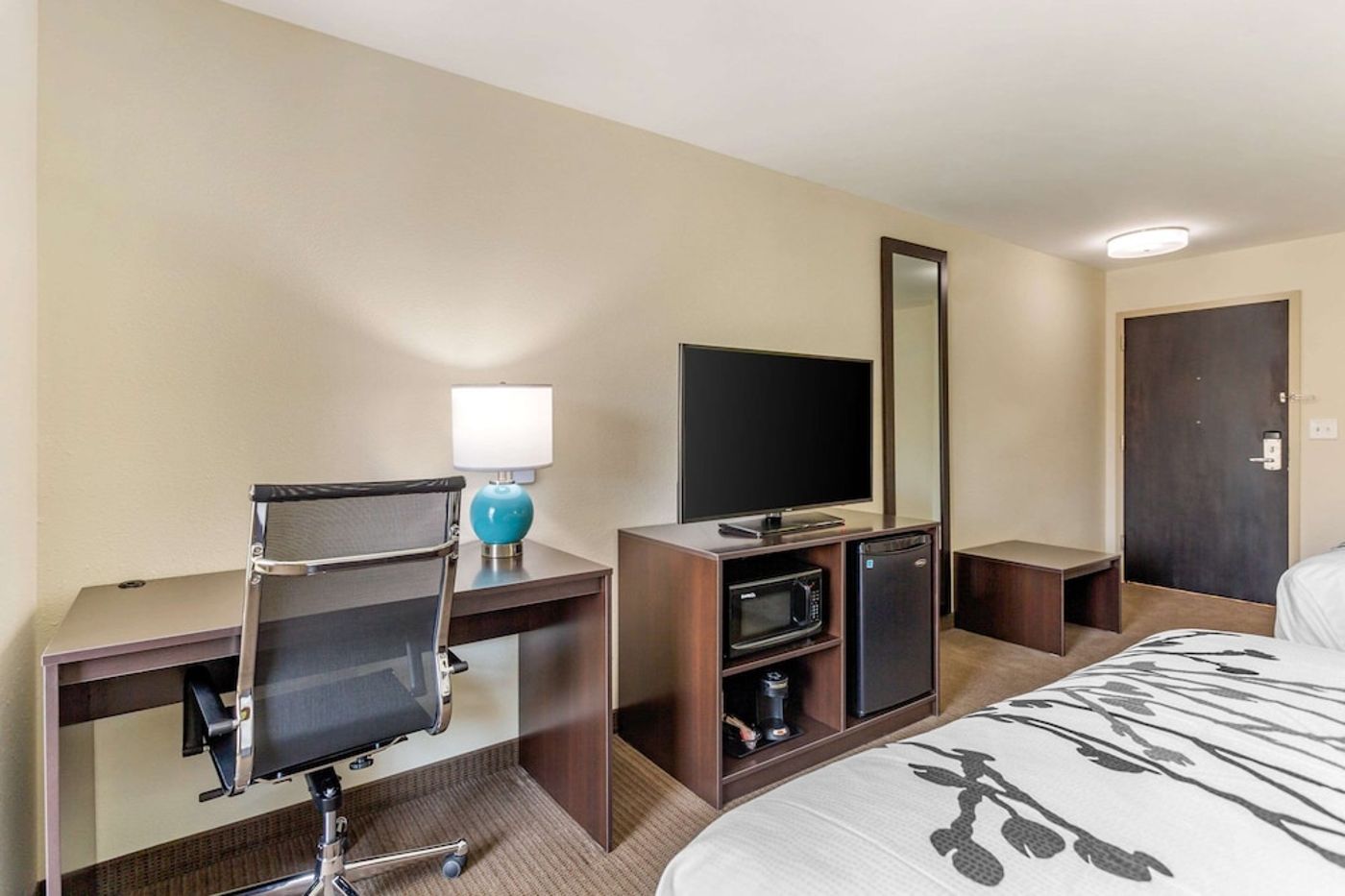 expedia-3160923-12