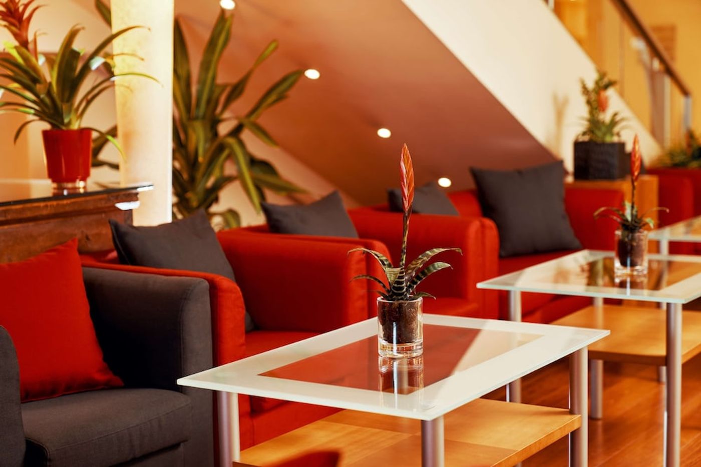 expedia-3163795-9