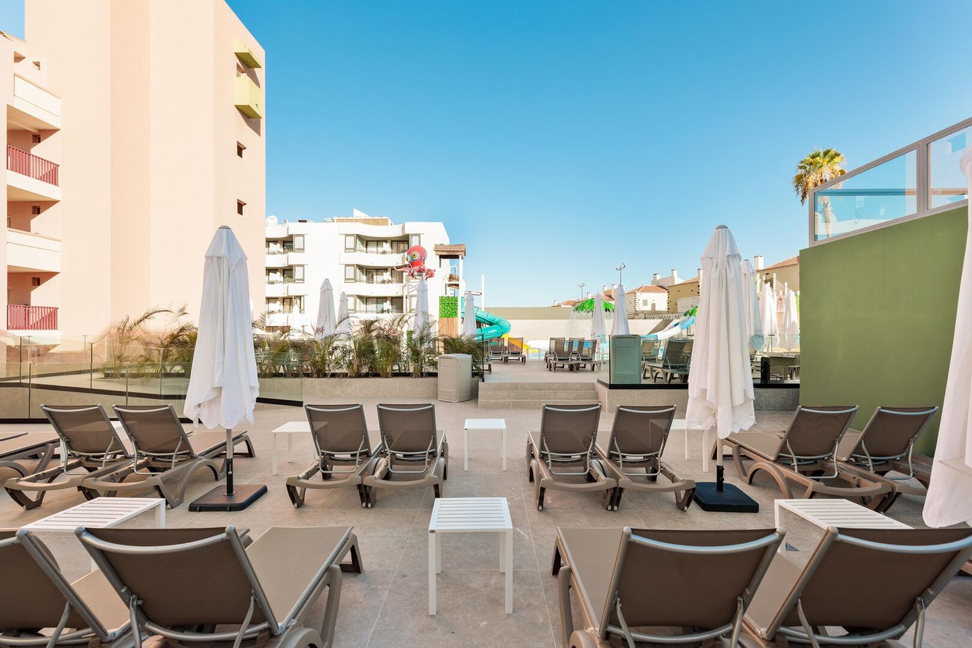 16.09.26 Best Jacaranda