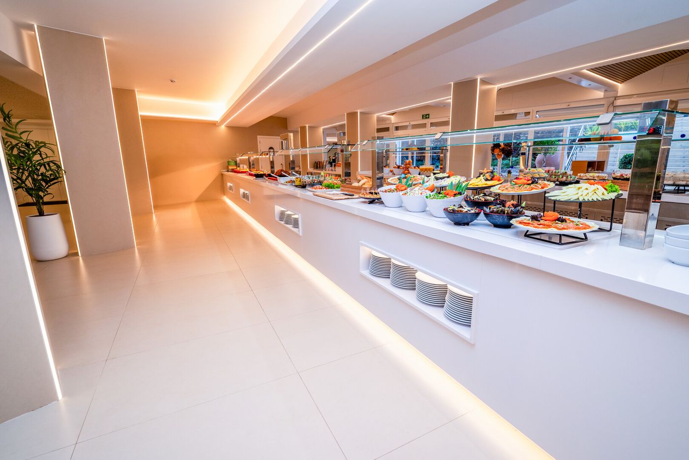 10.02.26 Sahara Playa