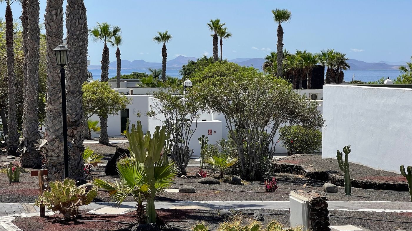 13.03.26 PALMERAS GARDEN