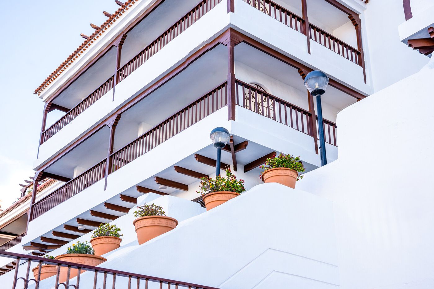 24.03.26 Coral Los Alisios