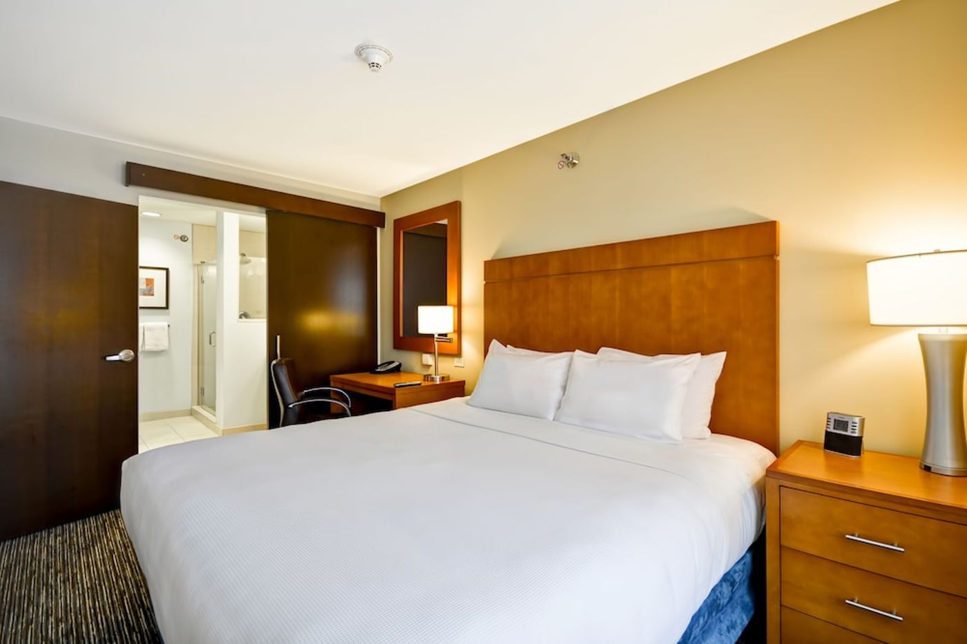 expedia-3162152-21