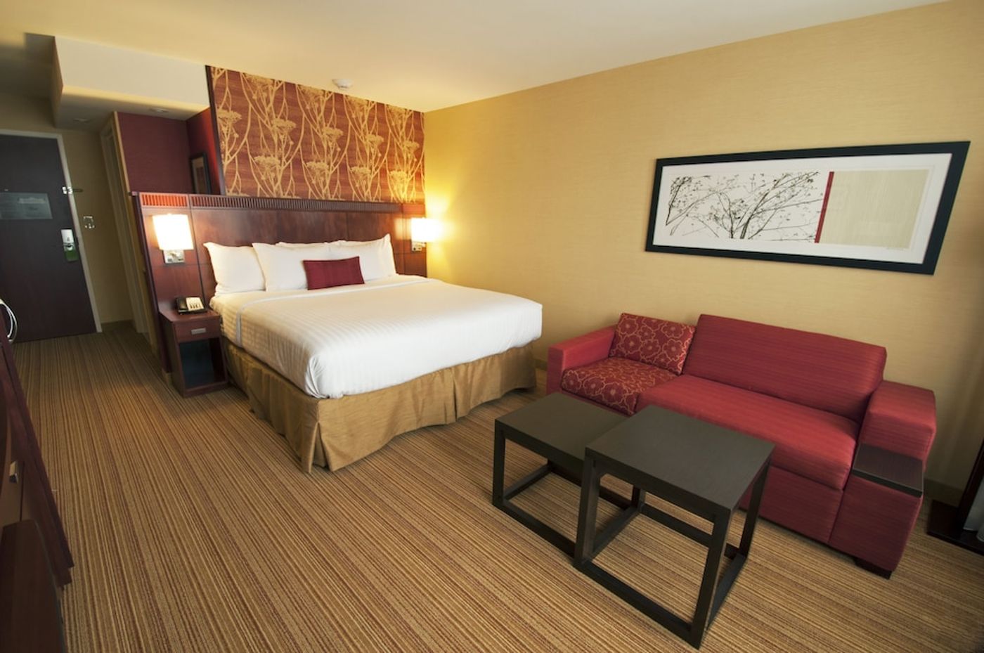 expedia-3162054-8
