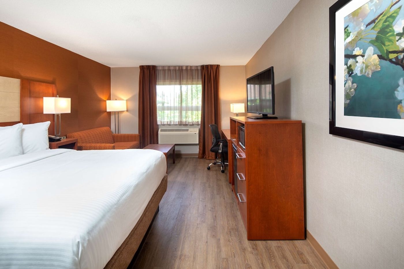 expedia-3163881-7