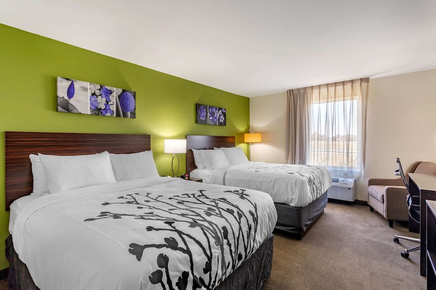 expedia-3160923-16