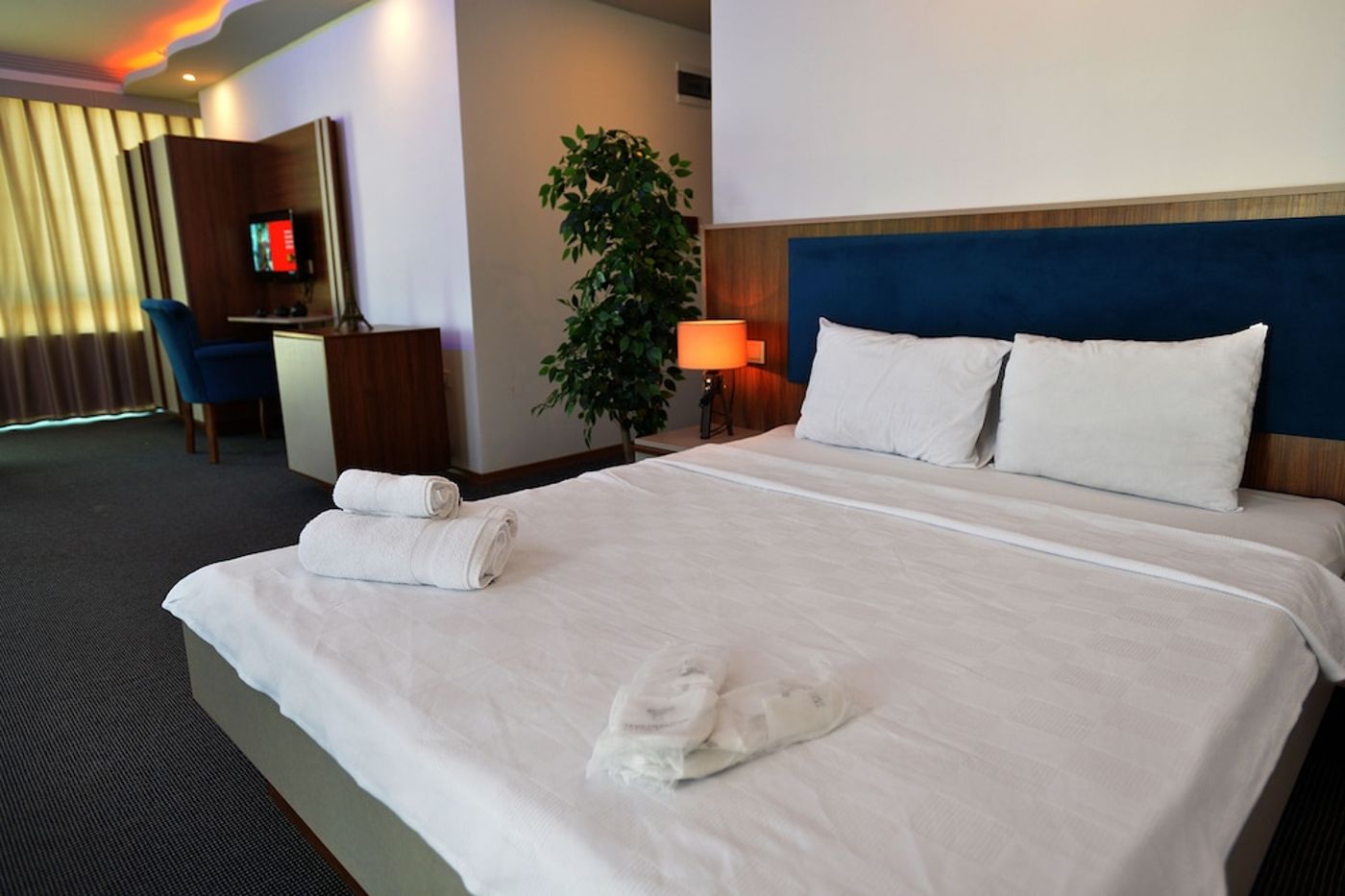 expedia-3161798-27