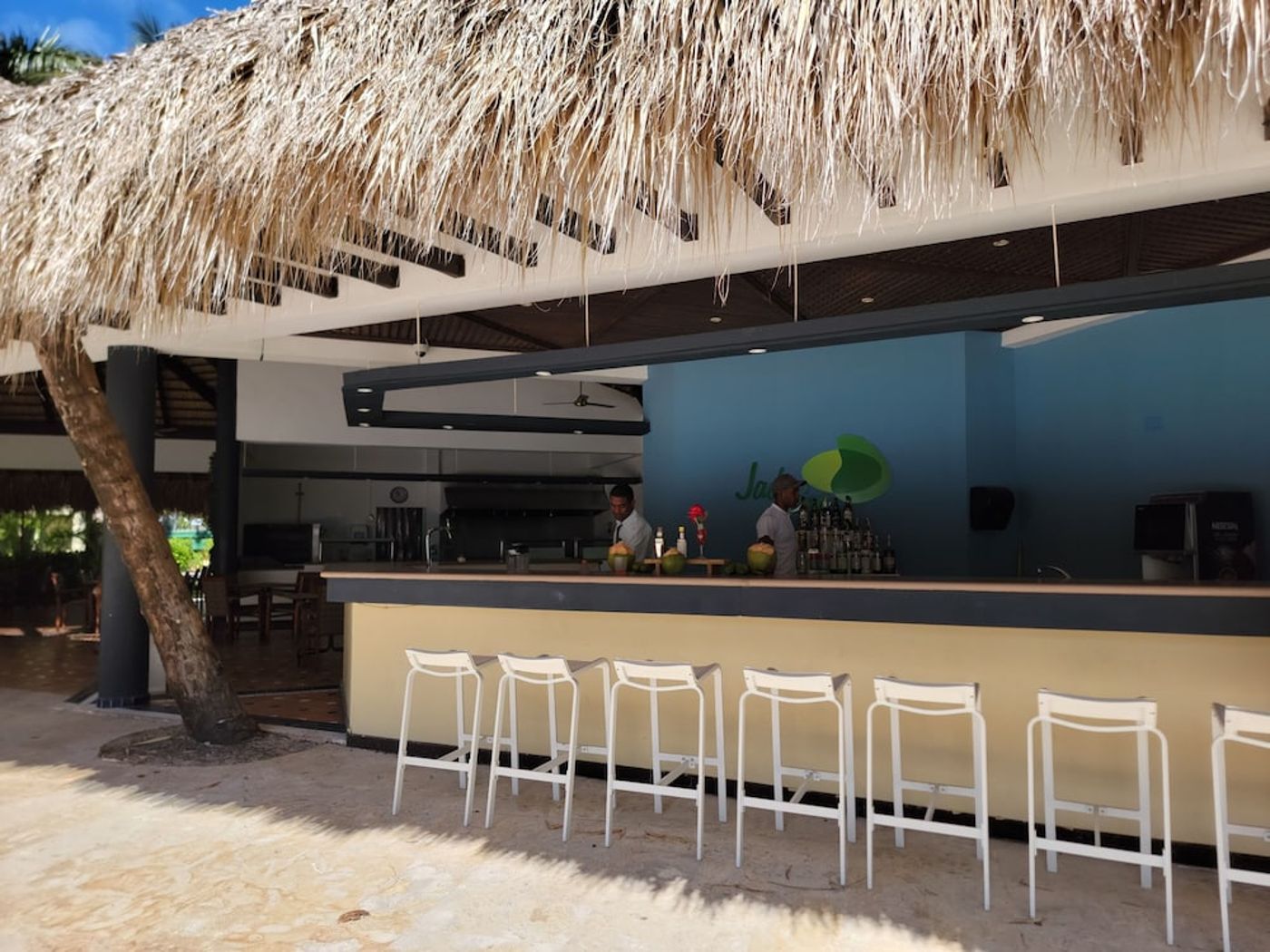 Impressive Premium Punta Cana
