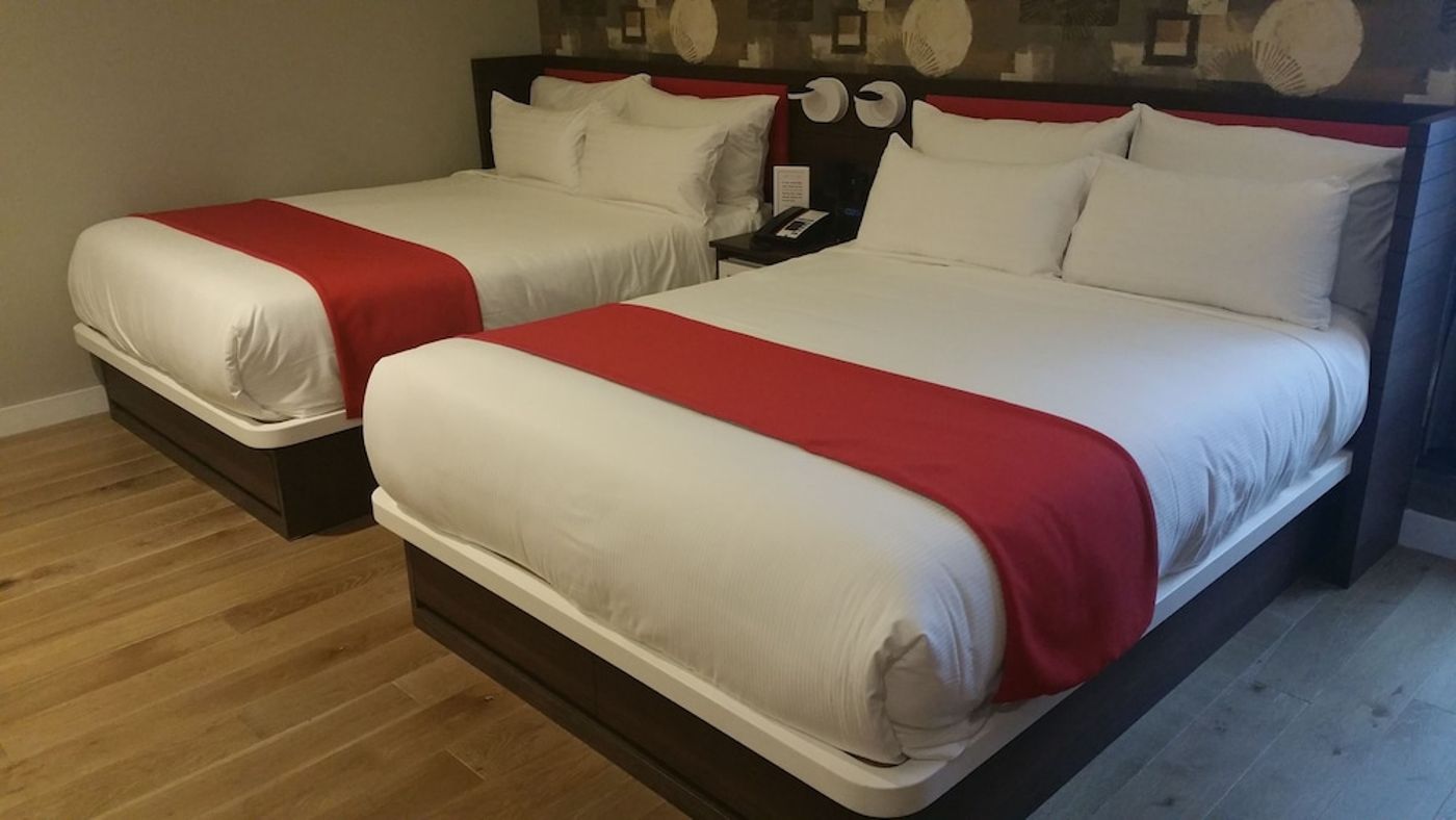 expedia-3158026-24