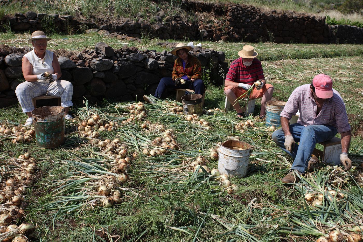 Canico Bay Club-Portugal-Santa Cruz-General view-2