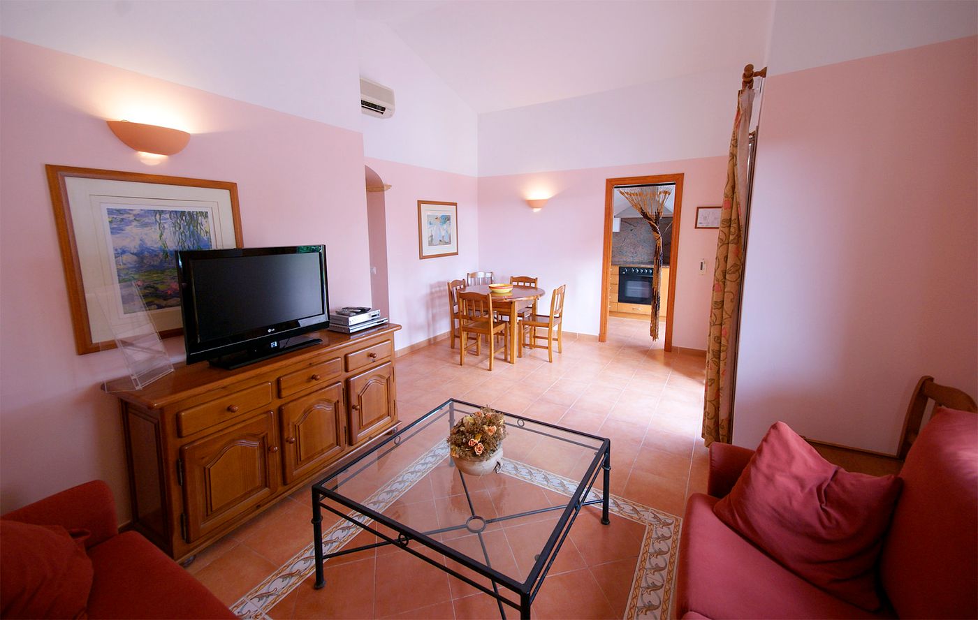 Begonias-General-view-11