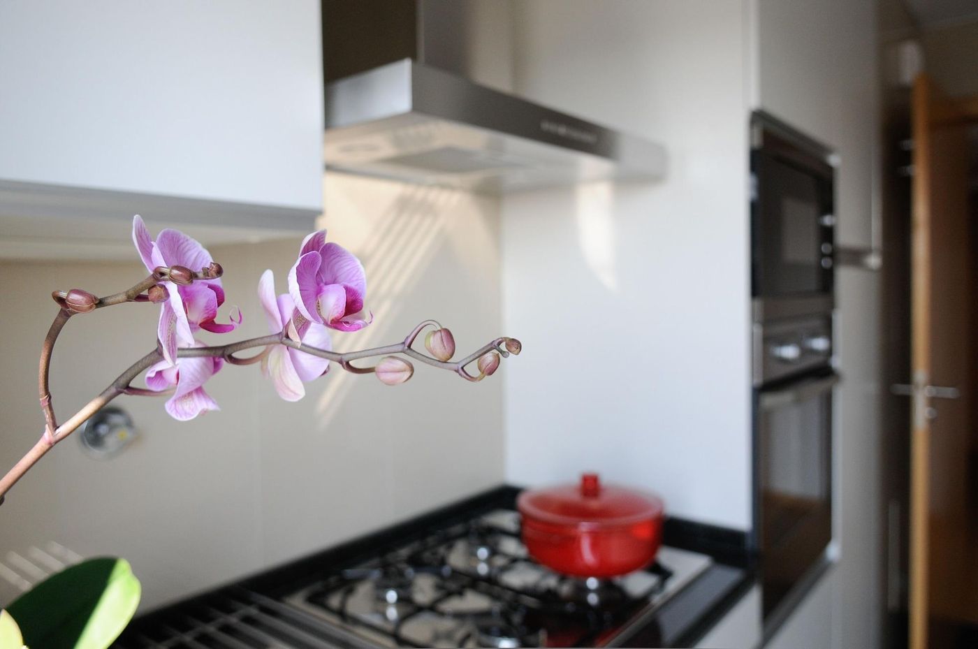 Panoramic-Living-Room-30