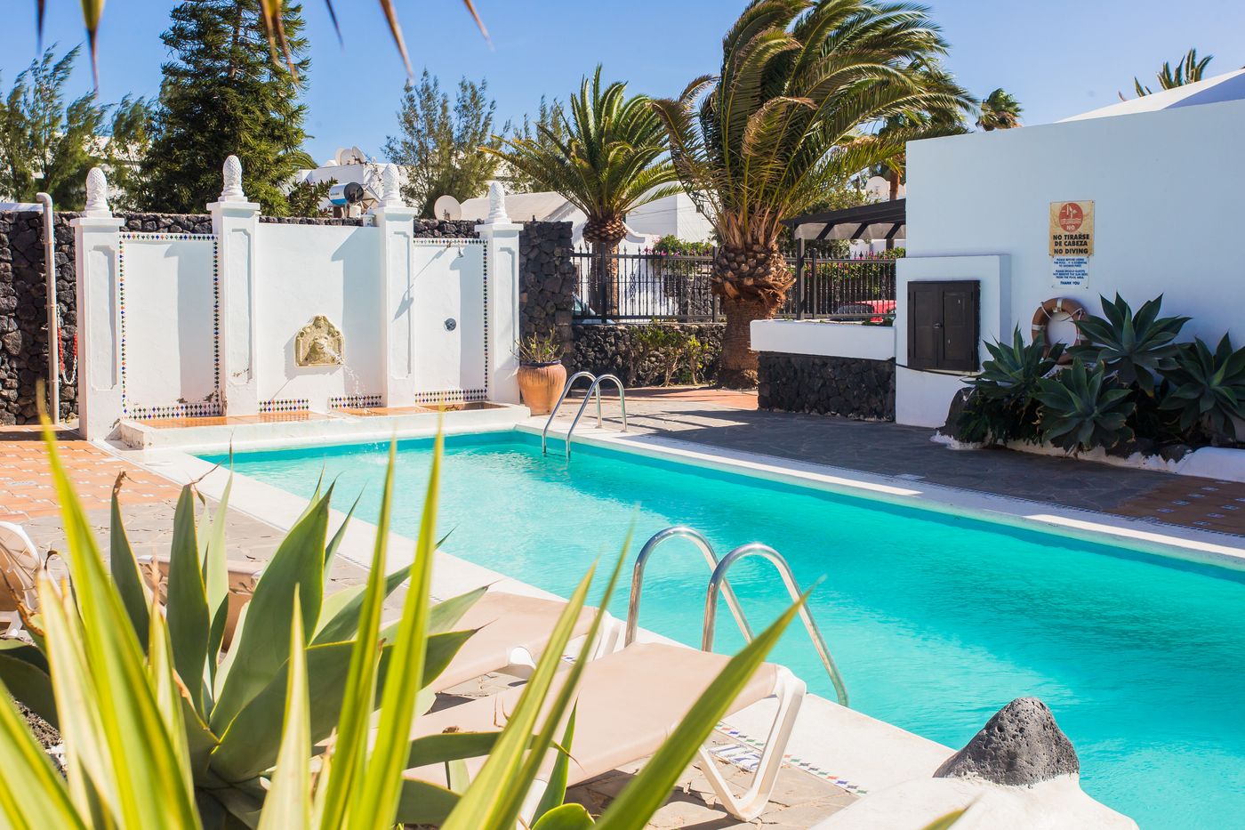 Los-Tulipanes-General-view-6