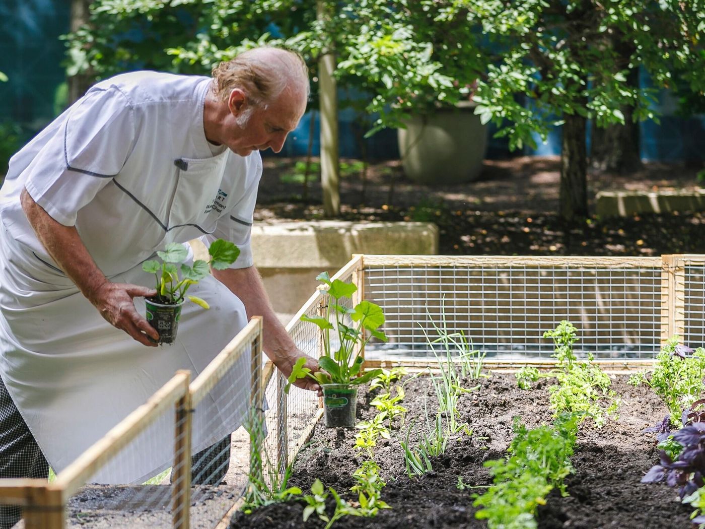 Seaport-Boston-Hotel-Terrace-33
