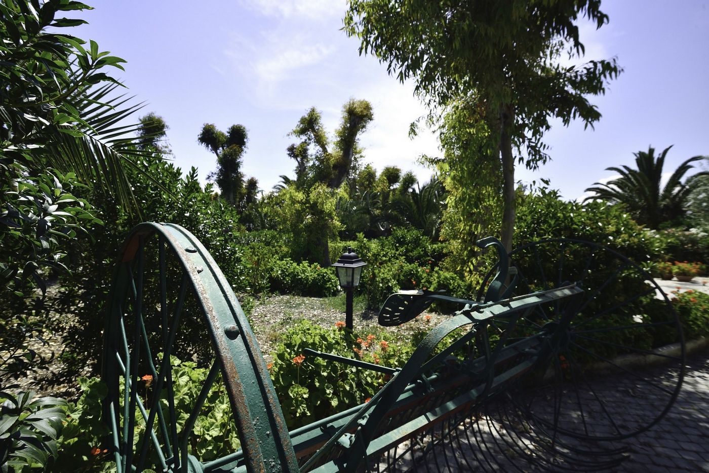 Tenuta San Francesco-Italy-BARLETTA-General view-10