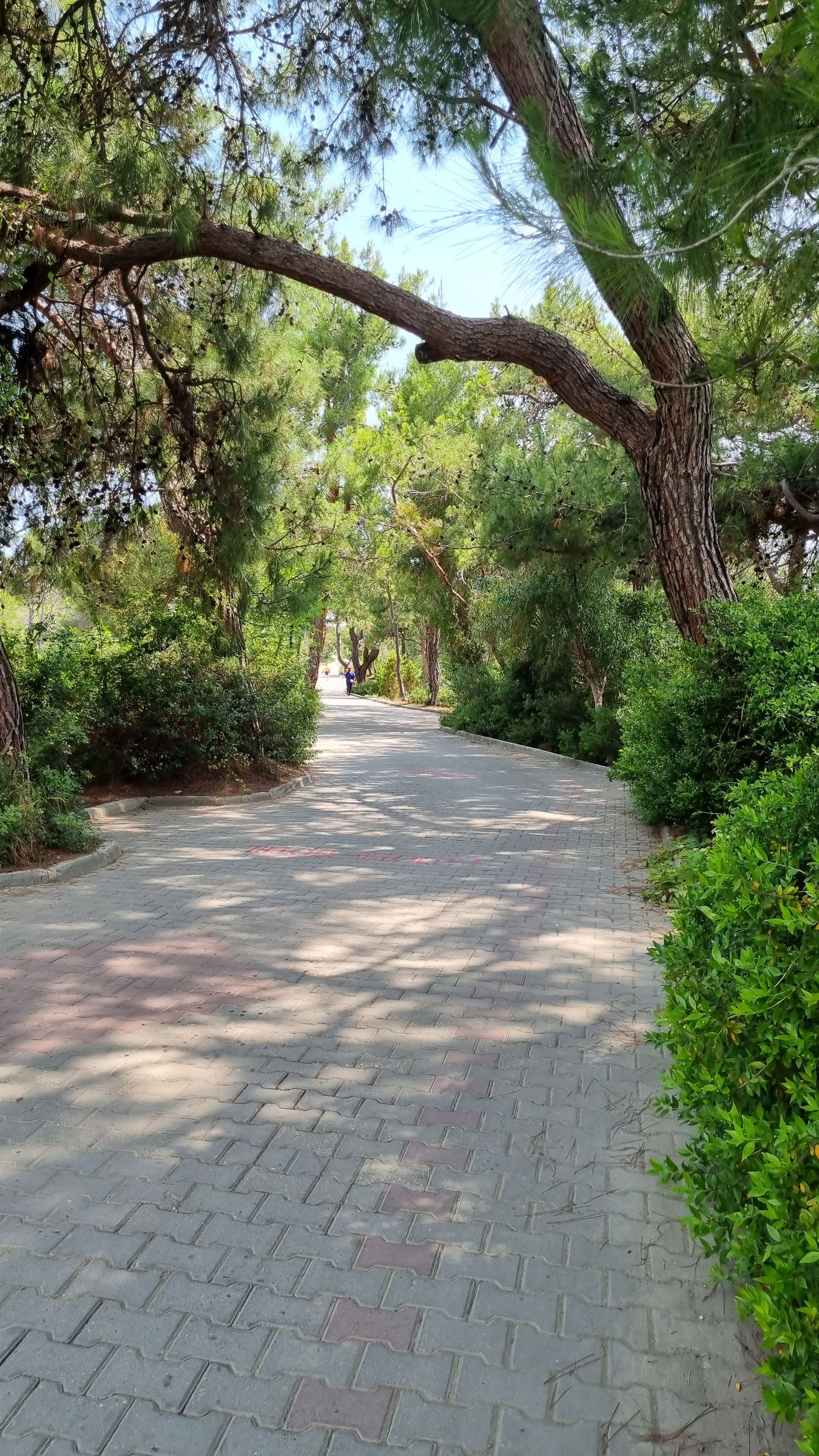 Jadore-Deluxe-Hotel---Spa-Beach-17