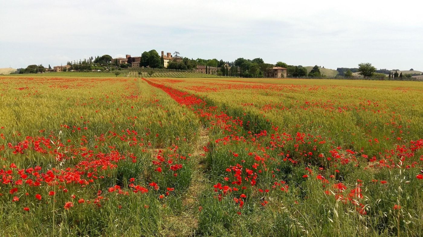 Hotel-1000-Miglia-General-view-1
