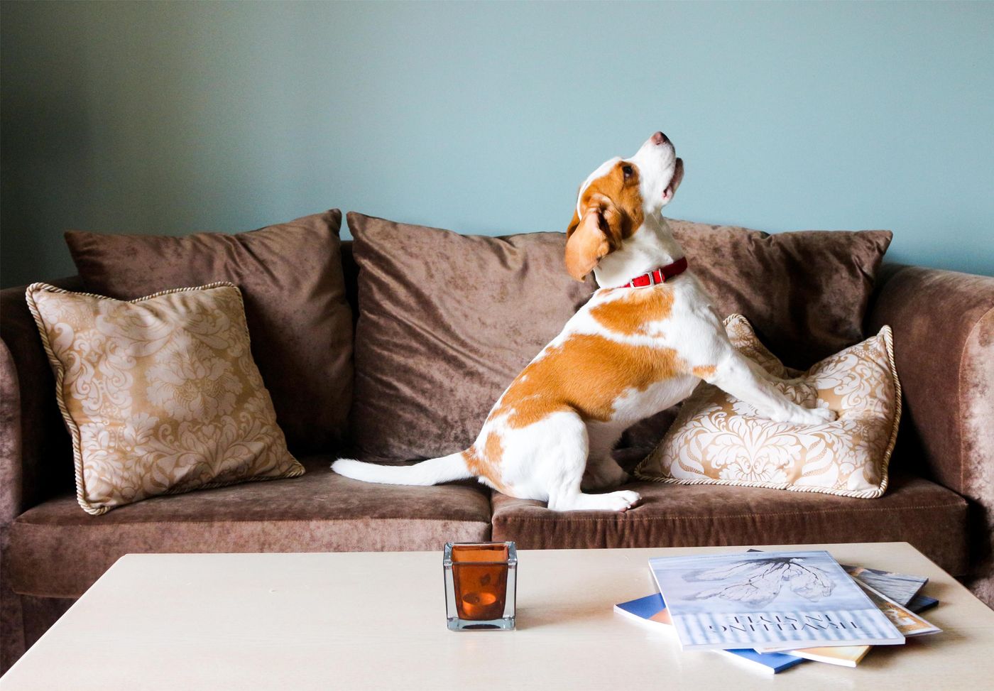 Kempinski-Hotel-San-Lawrenz-General-view-75