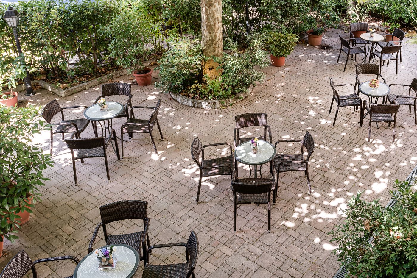 Da-Vinci-General-view-52