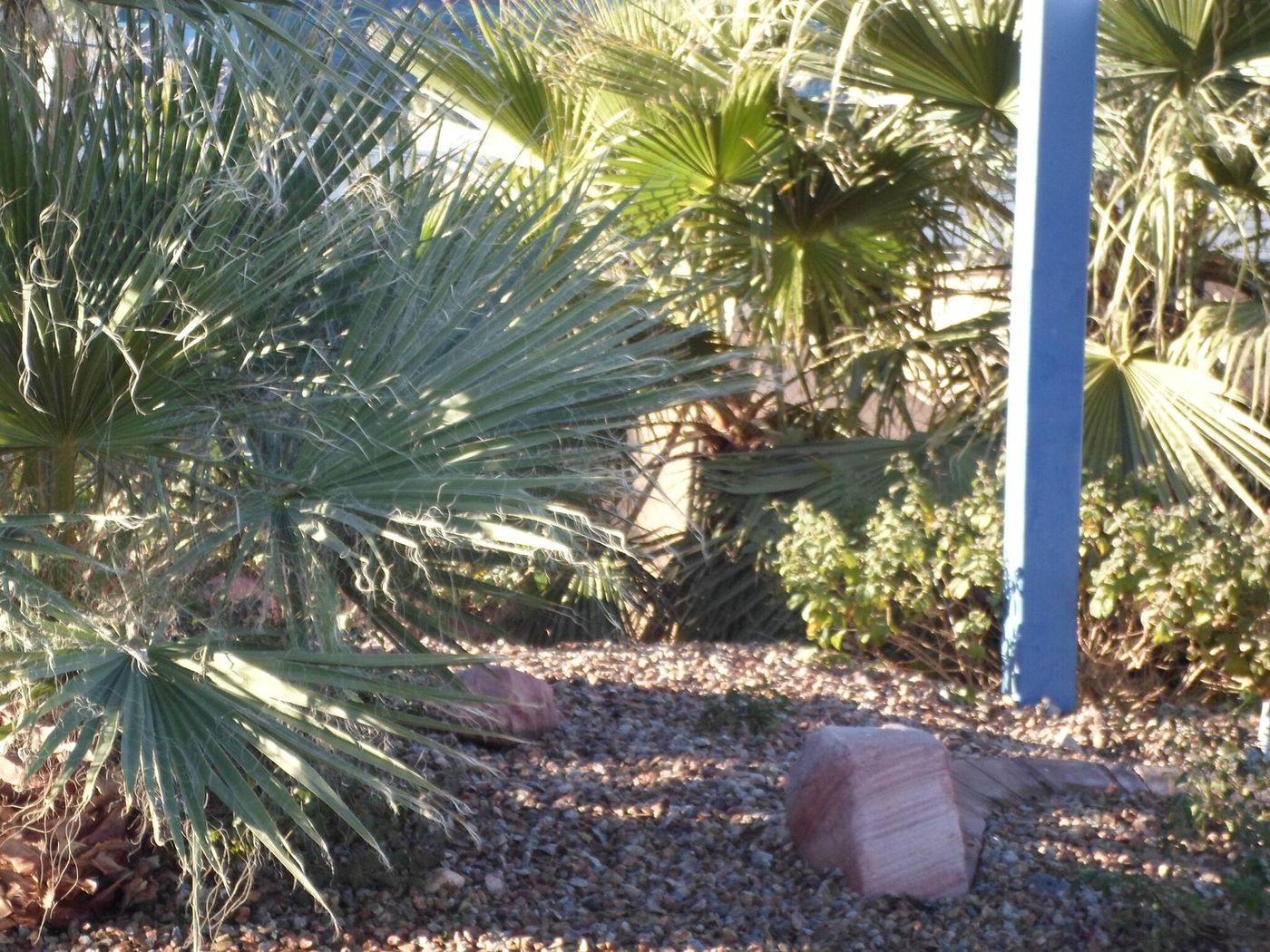 Howard Johnson by Wyndham Las Vegas near the Strip-United States-Las Vegas-General view-3