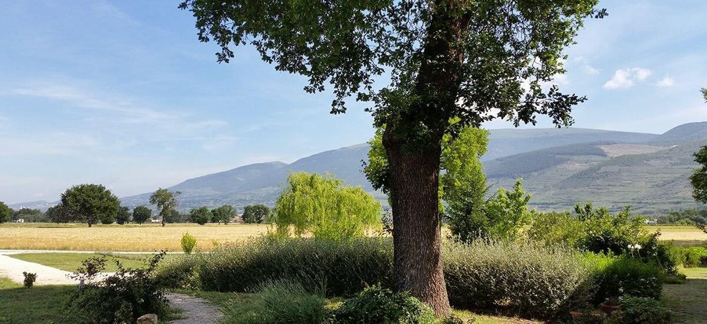 Bed And Breakfast Le Rose-Italy-SPELLO-General view-4