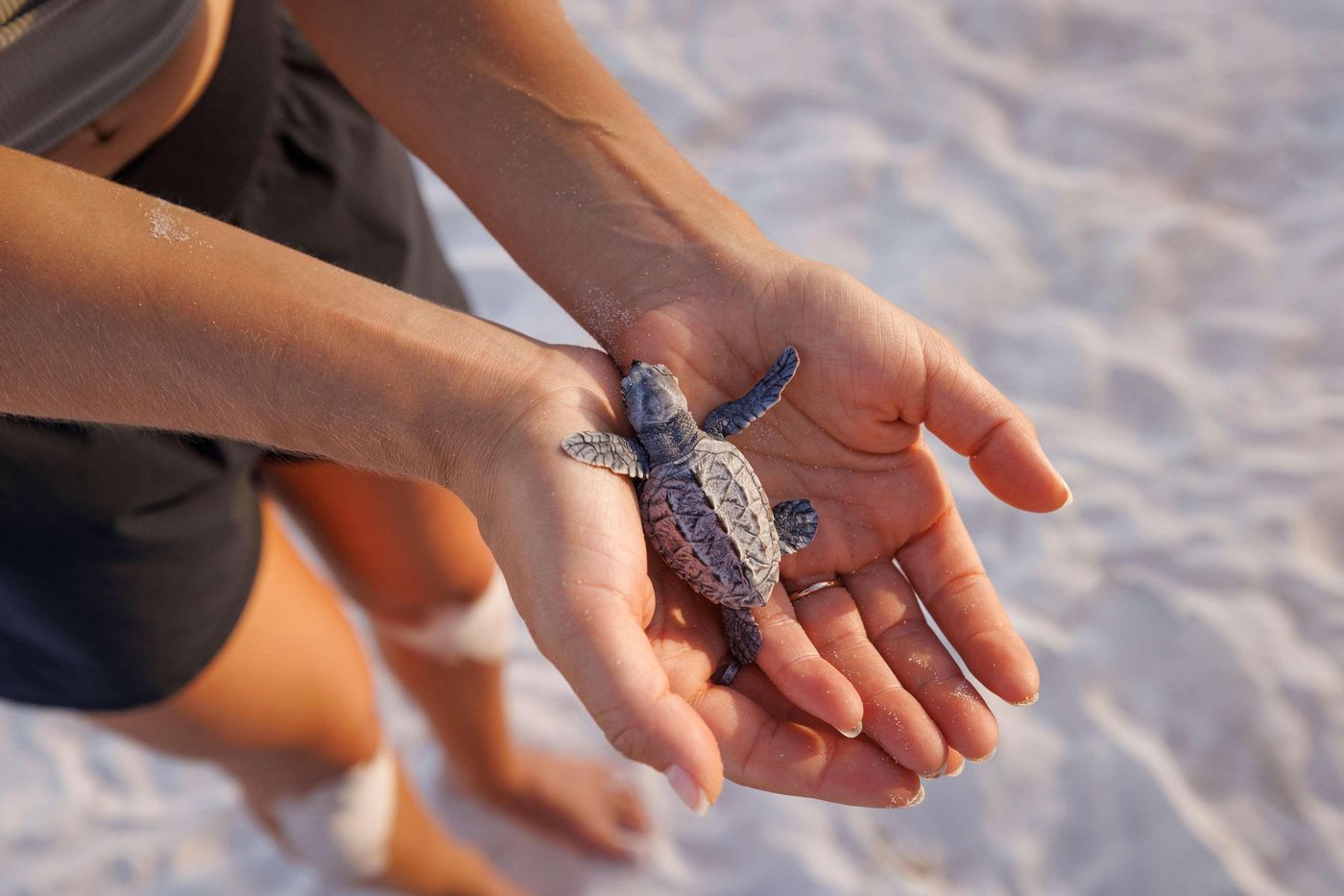 Sandals-Barbados---Adults-Only-Room-67