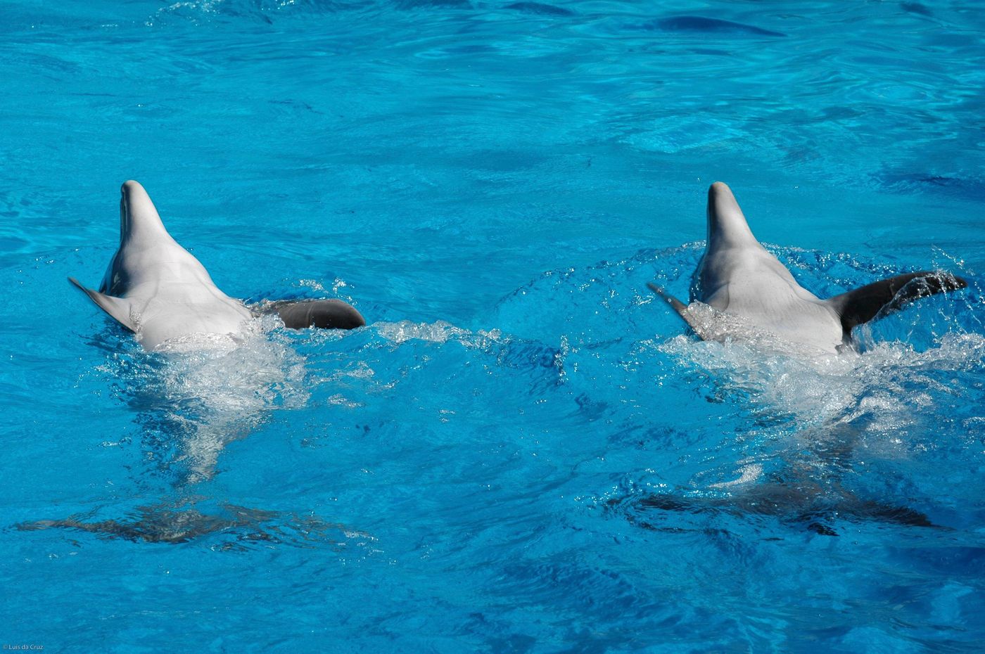 Kimpton-Atlantico-Algarve-Hotel-General-view-18