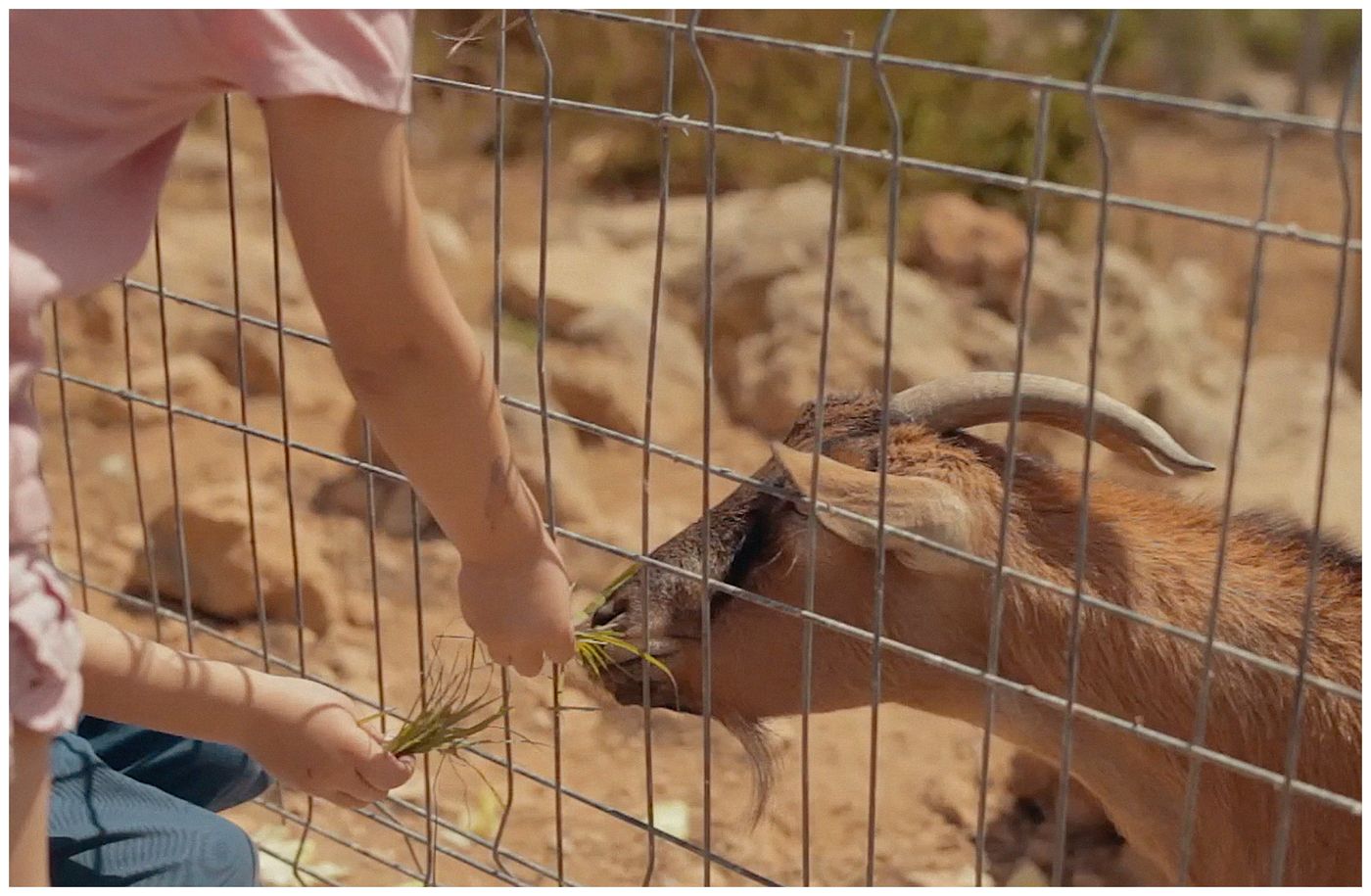 Royal-Son-Bou-Family-Club-Sports-and-Entertainment-80