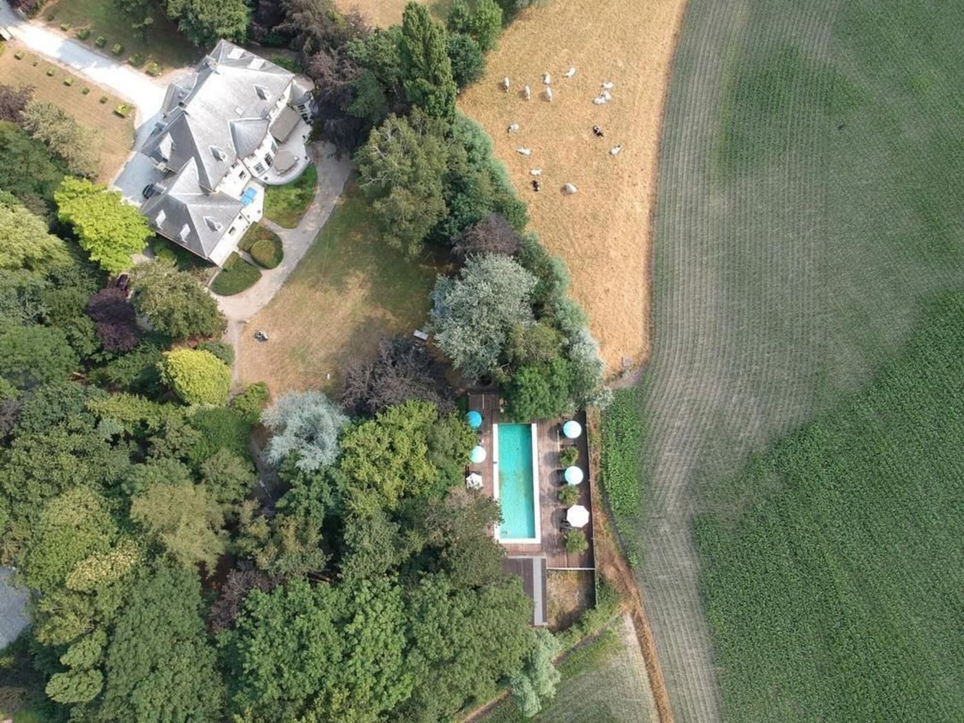 Hotel Fleur De Lys-Belgium-ZEDELGEM-General view-8