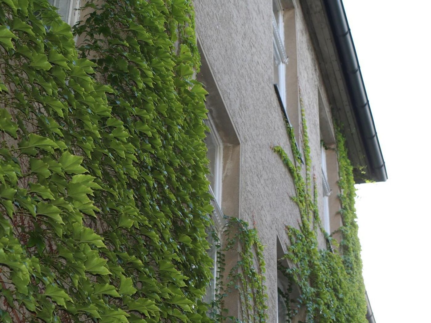 Seifert-Pension-General-view-4