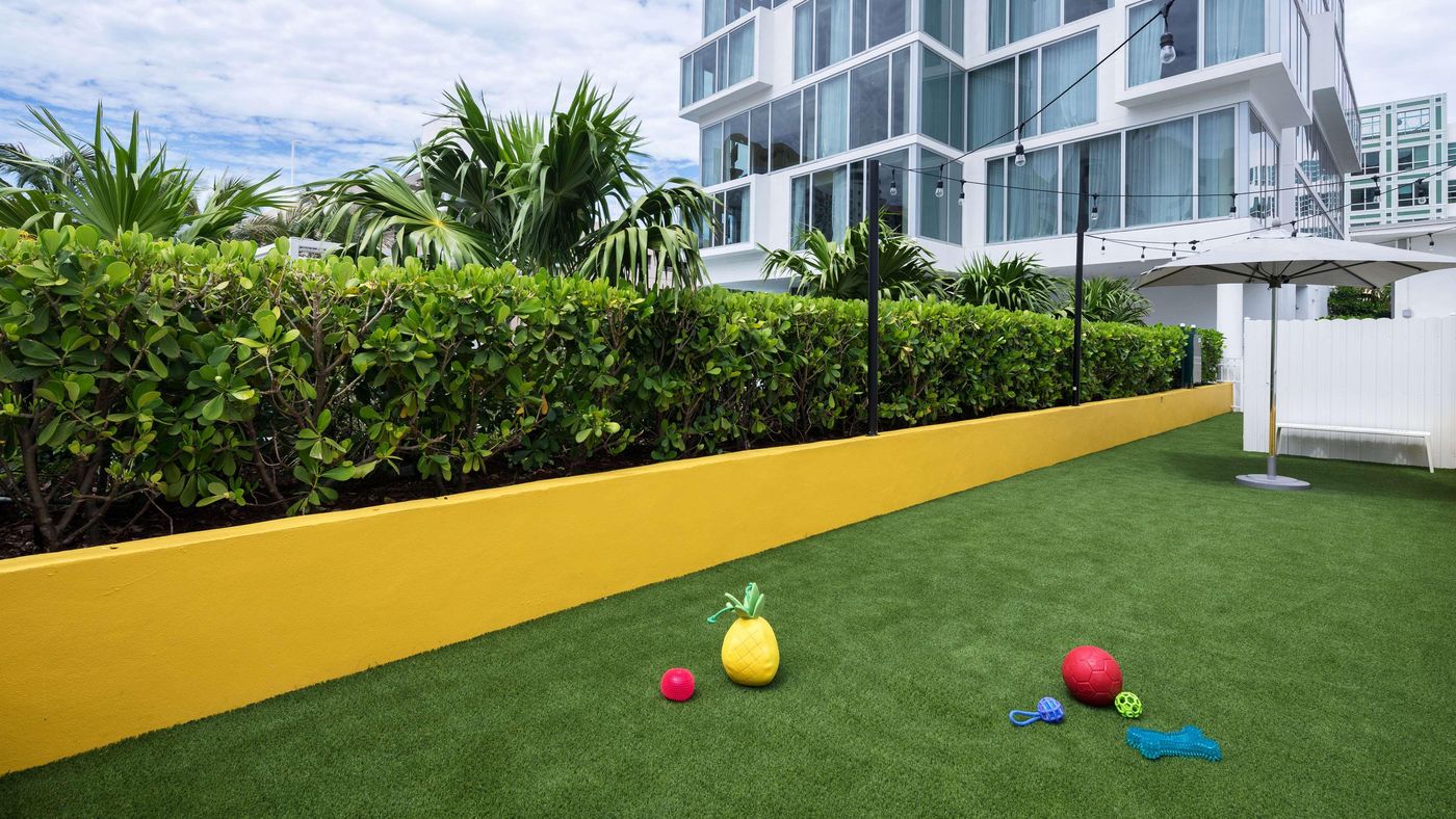 Hyatt Centric South Beach Miami - United States - MIAMI BEACH - Sports and Entertainment - 7