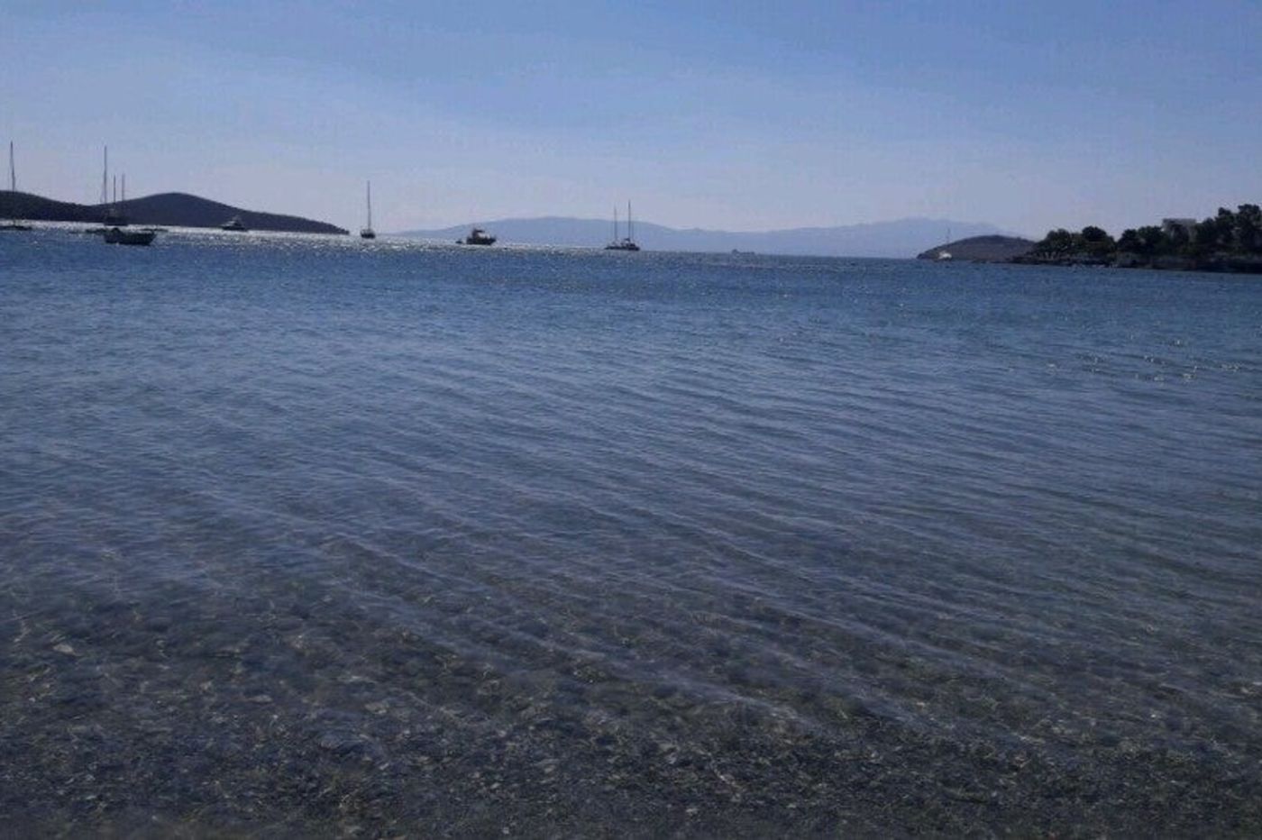 Bitez-Garden-Life-General-view-63