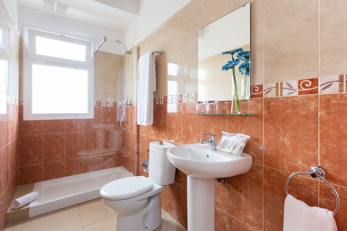 Globales-Acuario-Room-25