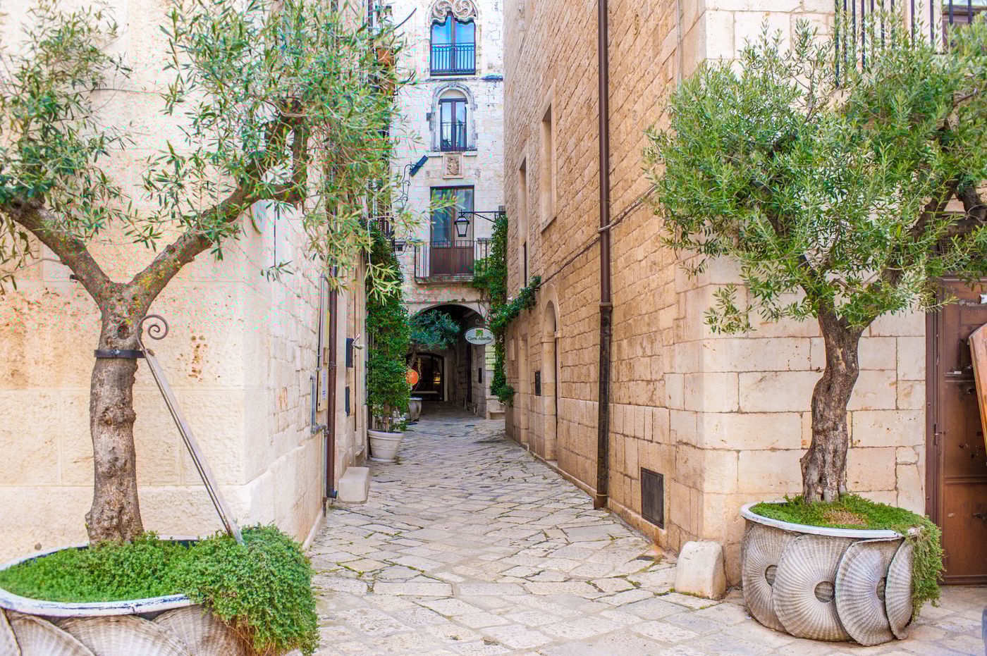 Corte Altavilla-Italy-CONVERSANO-General view-3