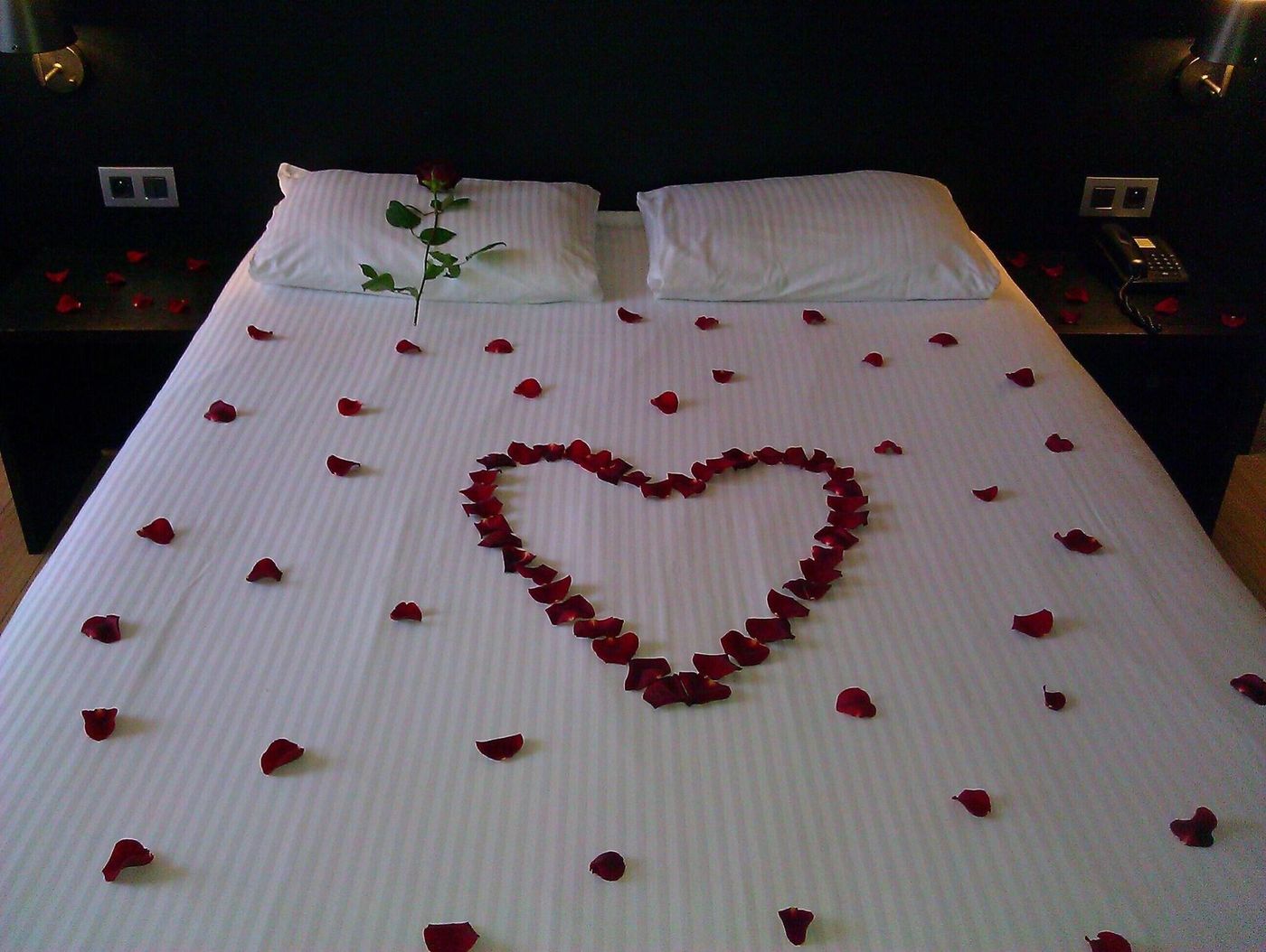 De Keyser Hotel-Belgium-ANTWERP-General view-3