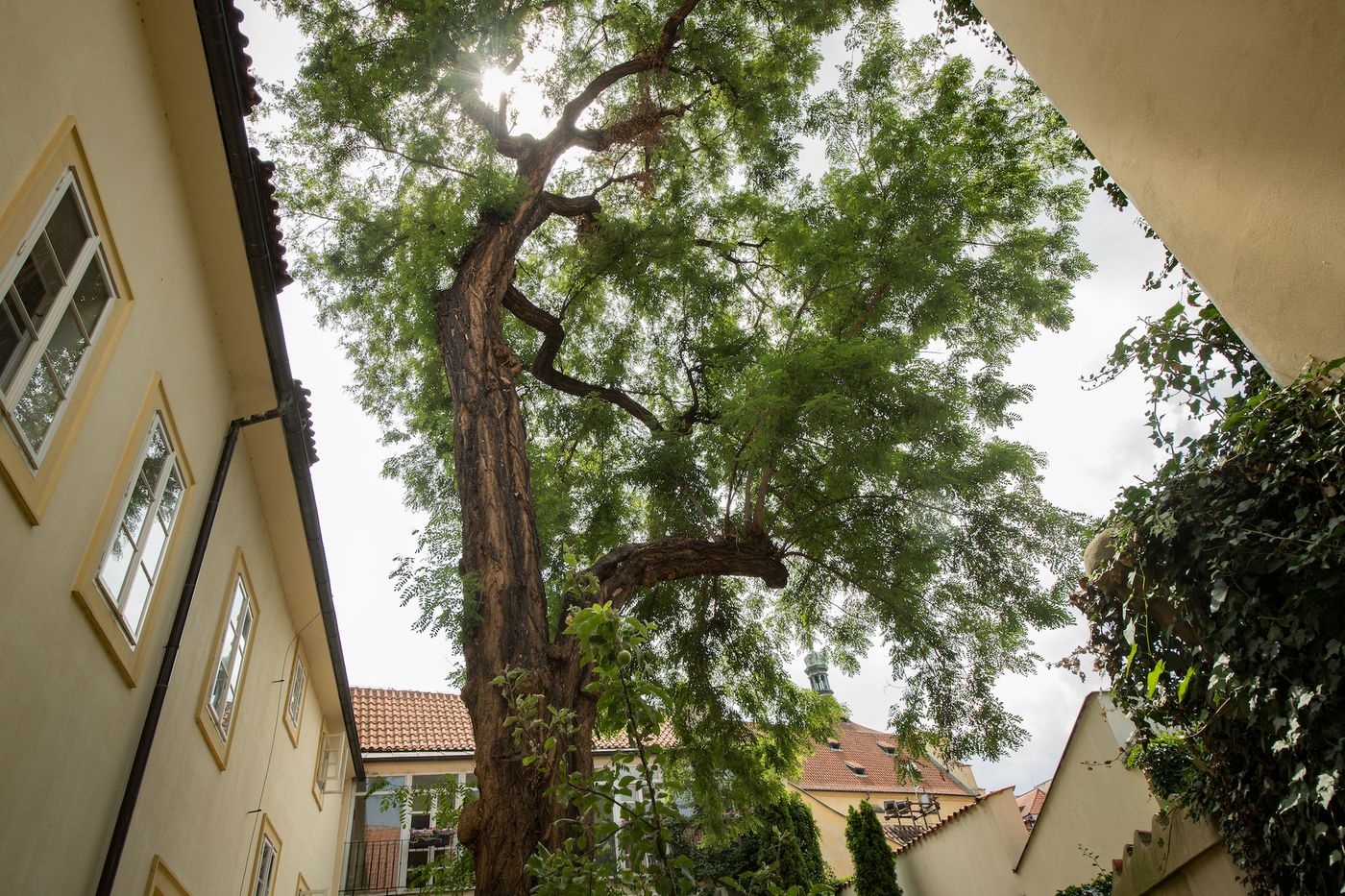 Monastery-Garden-Prague-Terrace-31