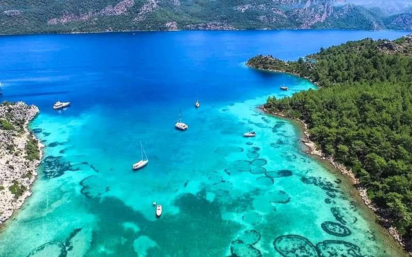 Albatros-Apartments-Beach-46