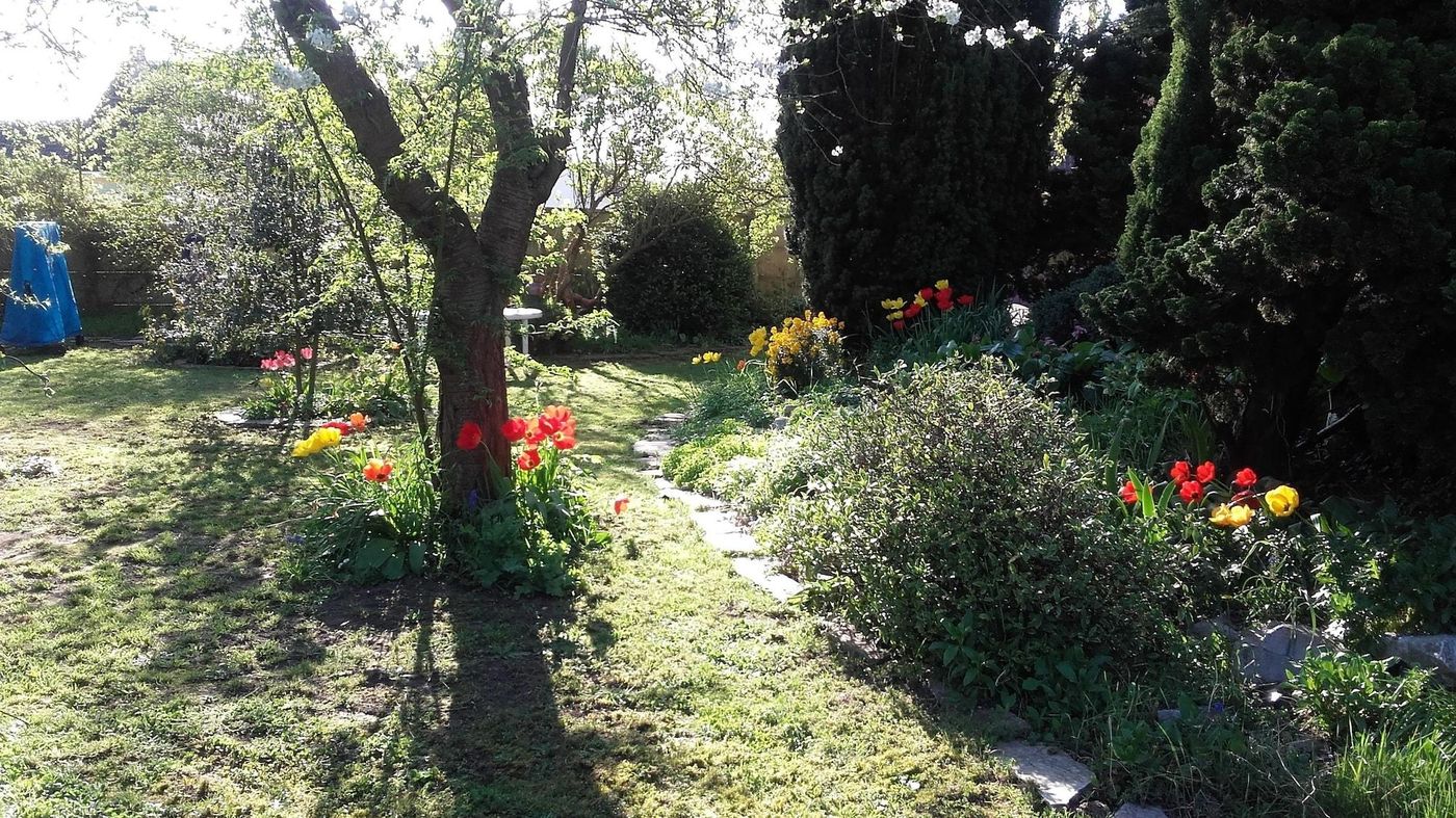 Chambre Du Jardin Fleuri-France-SAINT-AUBIN-LES-ELBEUF-General view-5