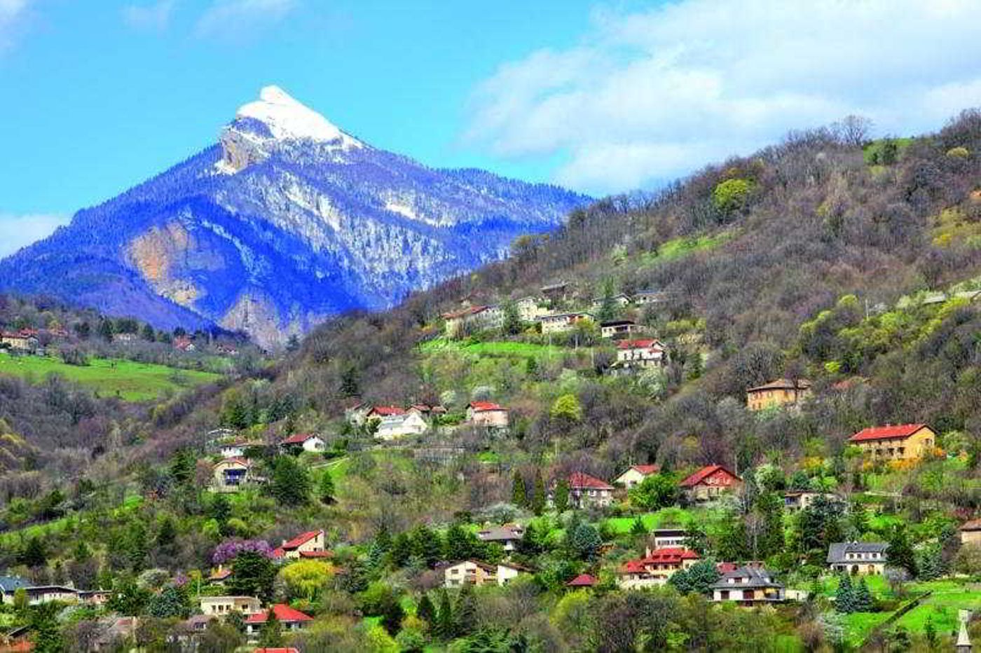 Park & Suites Elegance Grenoble-France-GRENOBLE-General view-1