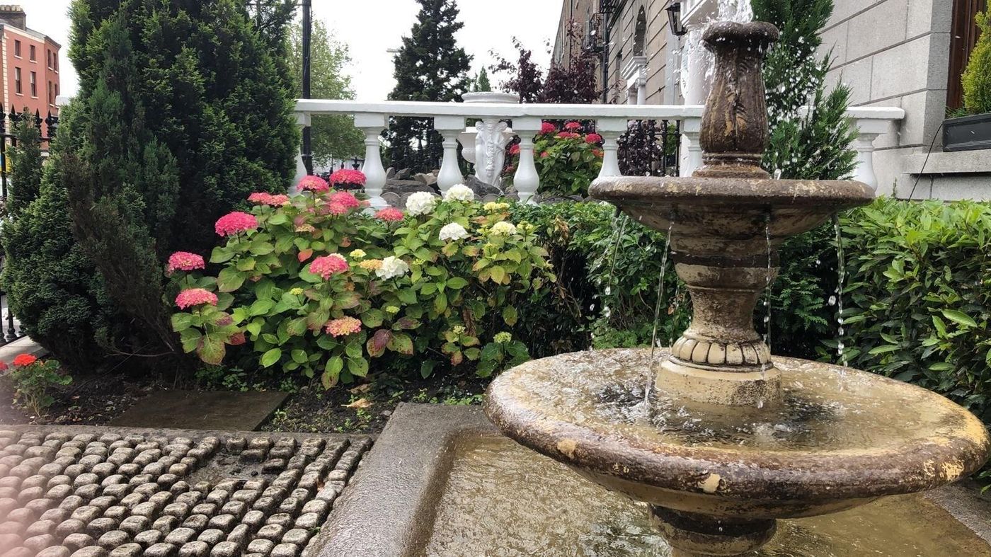 Leeson Bridge Guesthouse-Ireland-DUBLIN-General view-2