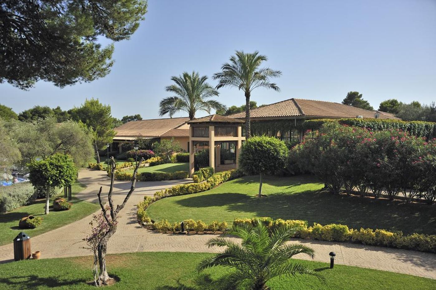 Fergus Club Vell Mari