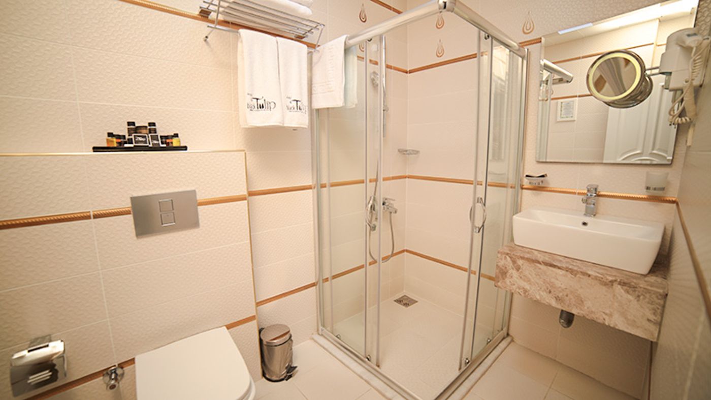 Hotel Black Tulip-Turkey-ISTANBUL-Room-7