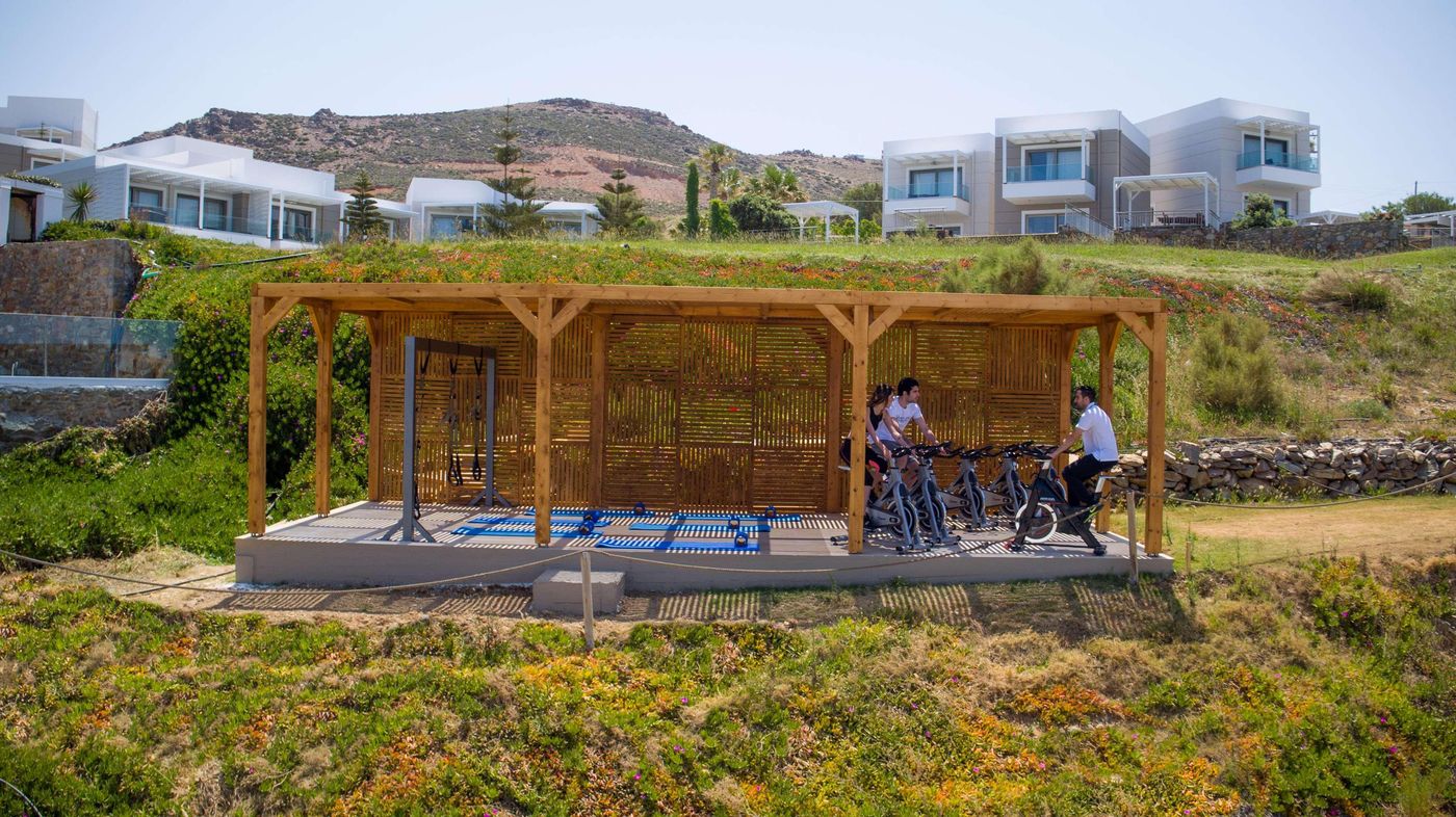 The-Royal-Blue-Sports-and-Entertainment-99