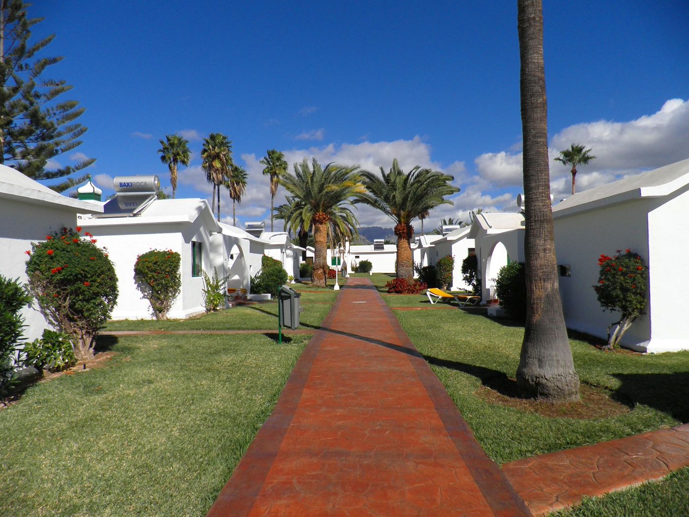 Canary-Garden-Club-General-view-18