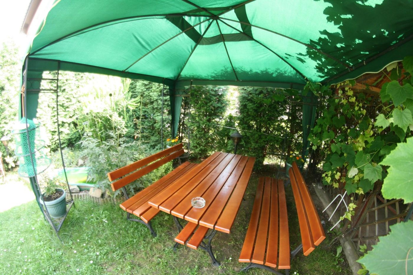 Daisy-Superior-Terrace-8