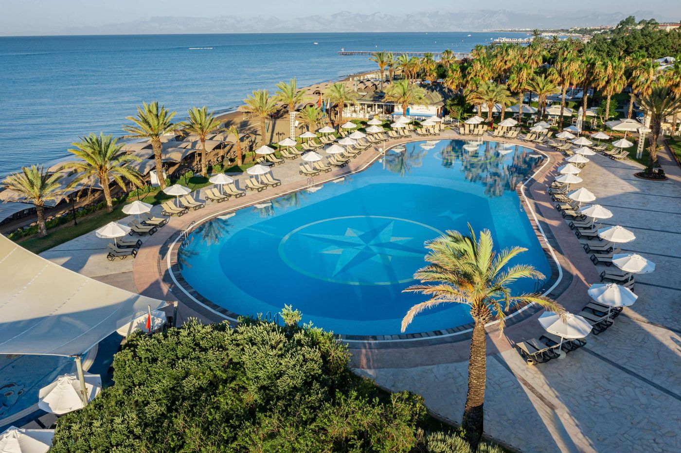 Papillon-Belvil-Pool-11